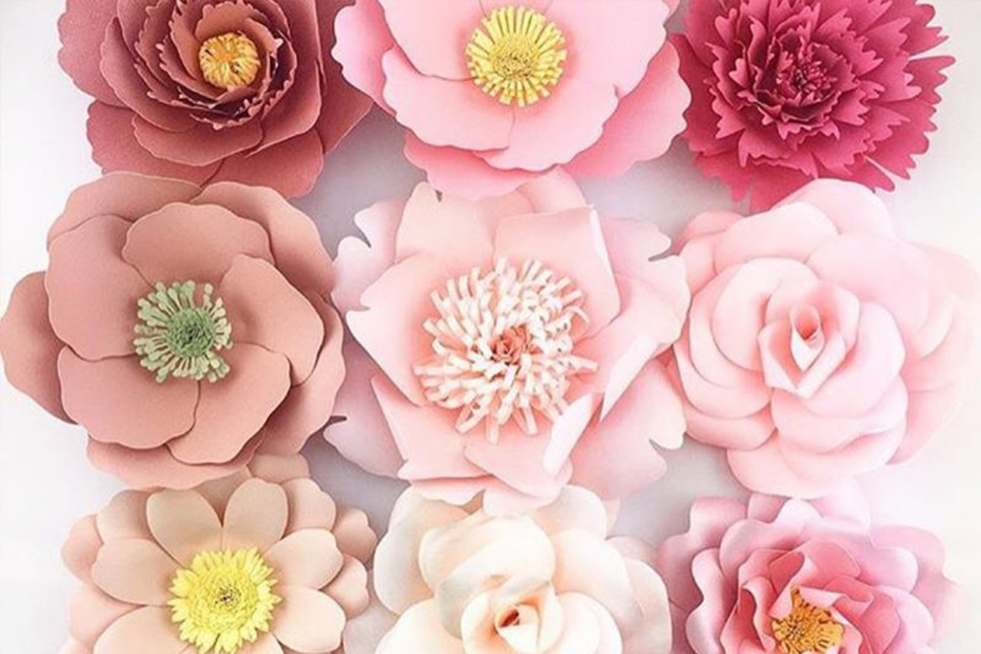 Taller de Silhouette