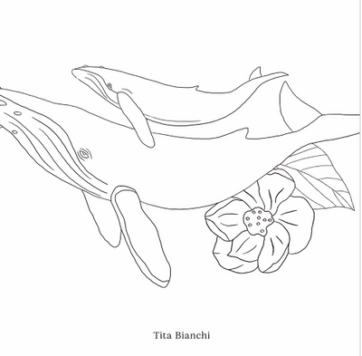 Libro para colorear Mar botánico- Teresita Bianchi