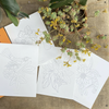 Caja creativa Primavera con láminas para pintar- Tita Bianchi