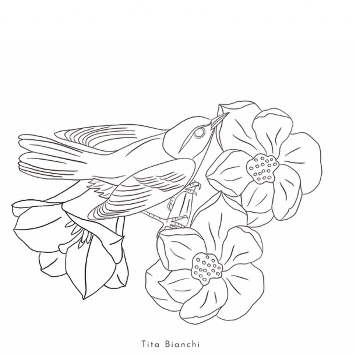 Libro para colorear Primavera- Teresita Bianchi