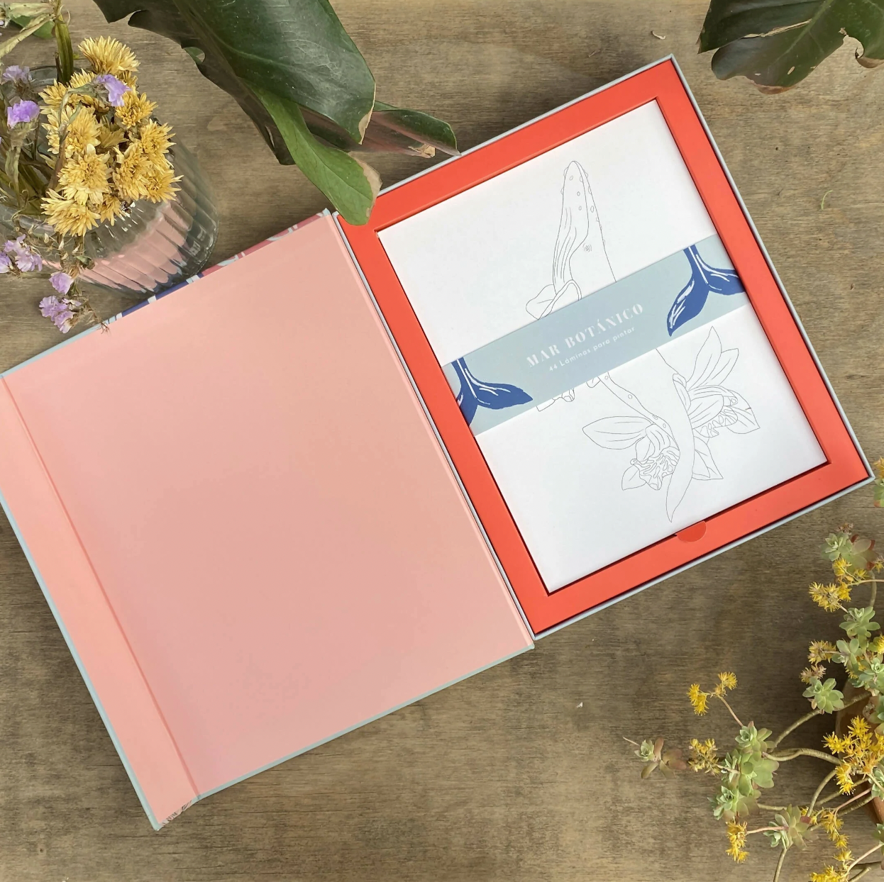 Caja creativa Mar botánico con láminas para pintar- Tita Bianchi