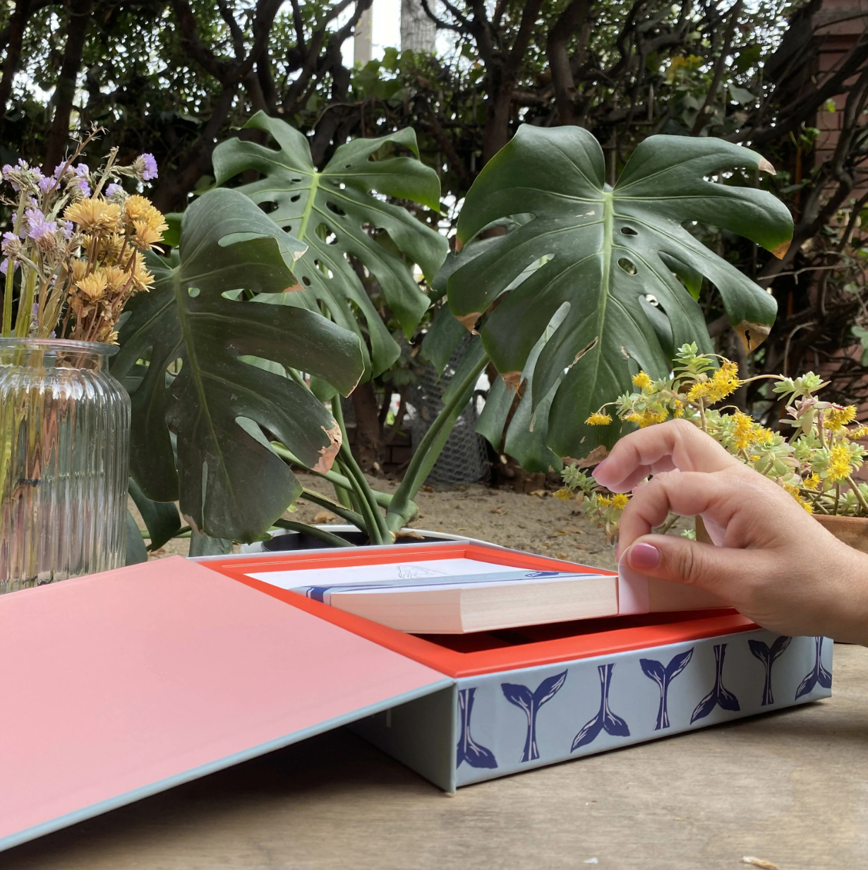 Caja creativa Mar botánico con láminas para pintar- Tita Bianchi
