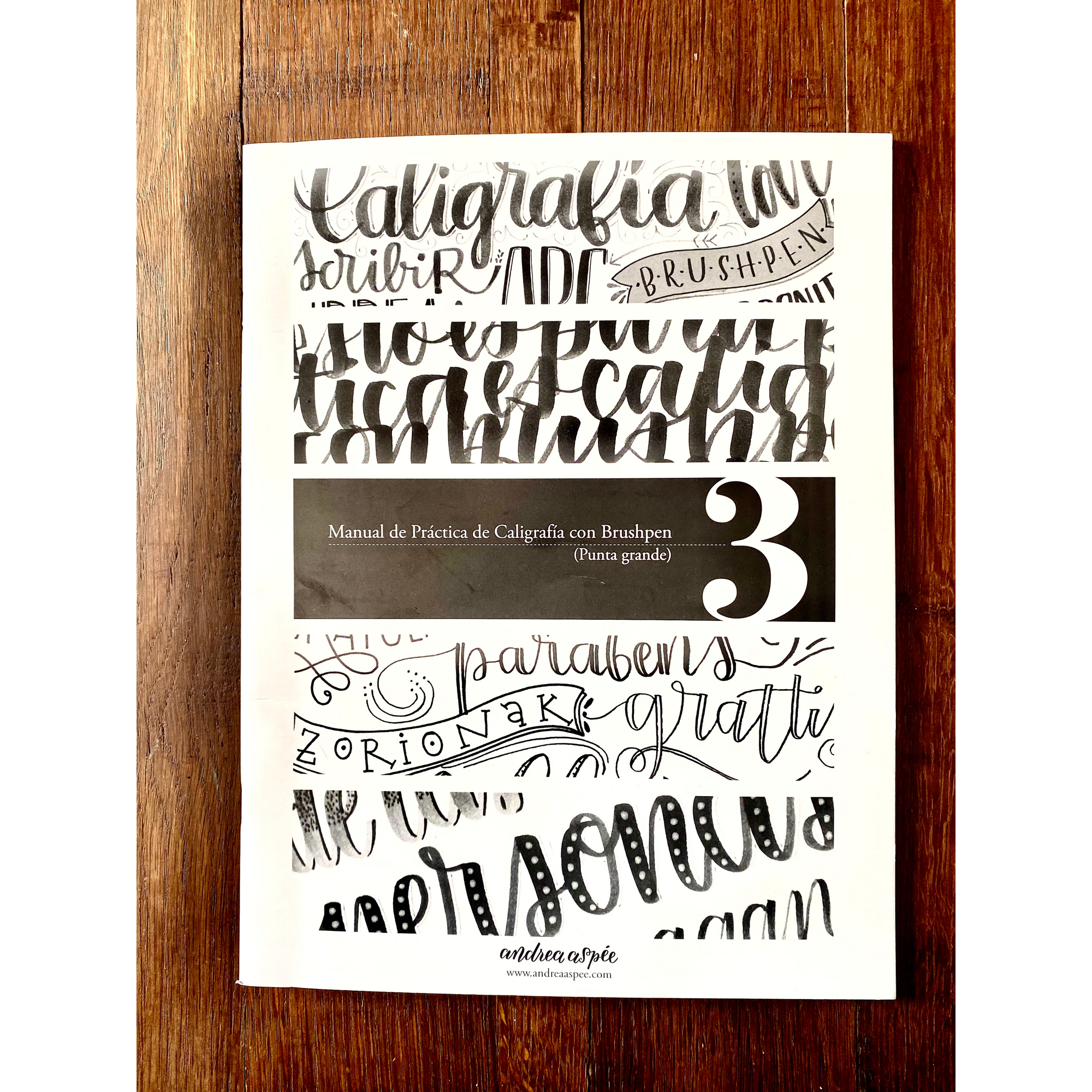 Manual de practica Lettering 3- Brushpen grueso- Andrea Aspee