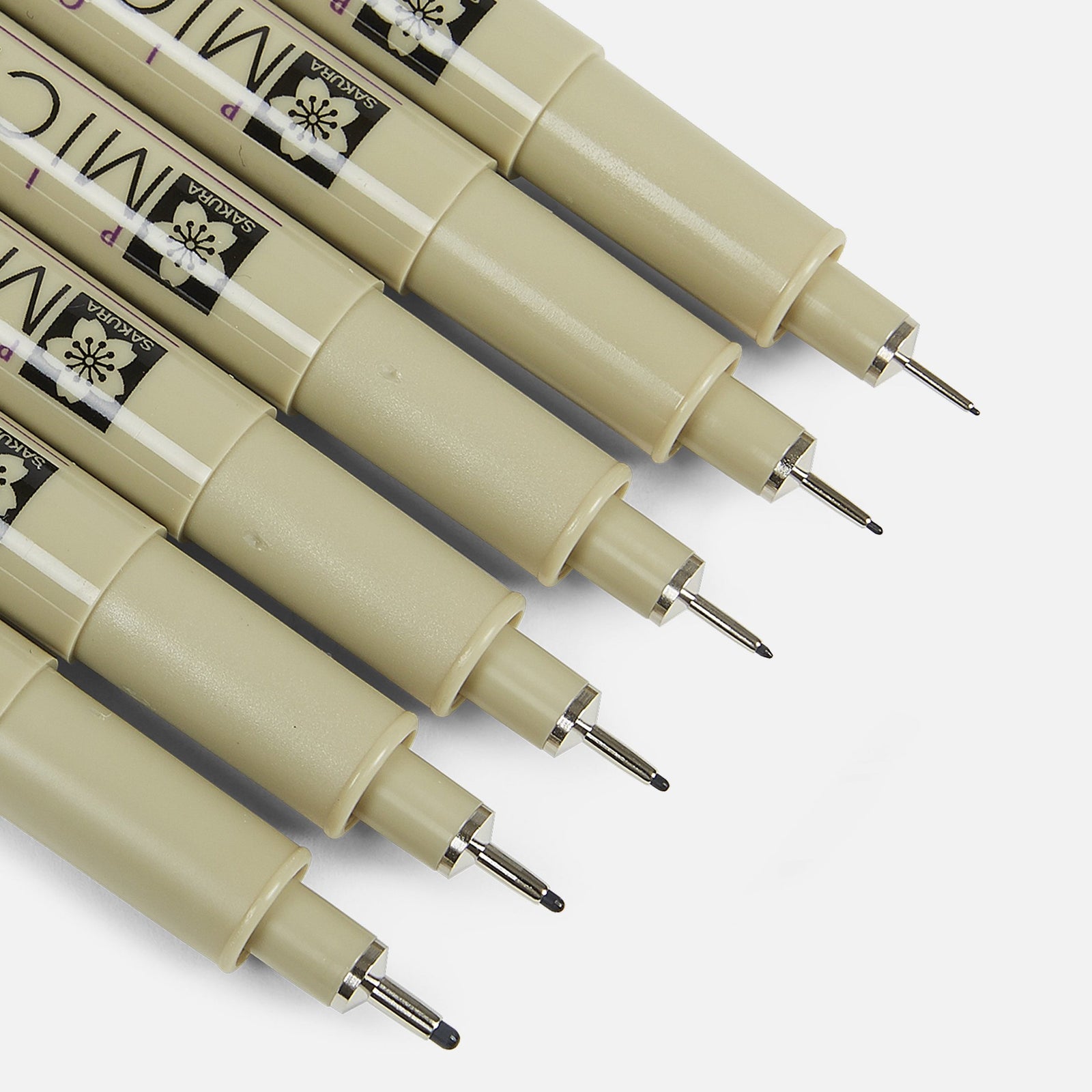 Variedad Tiralineas Negro Pigma Sakura